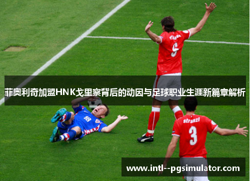 菲奥利奇加盟HNK戈里察背后的动因与足球职业生涯新篇章解析