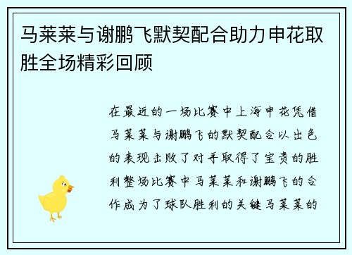 马莱莱与谢鹏飞默契配合助力申花取胜全场精彩回顾